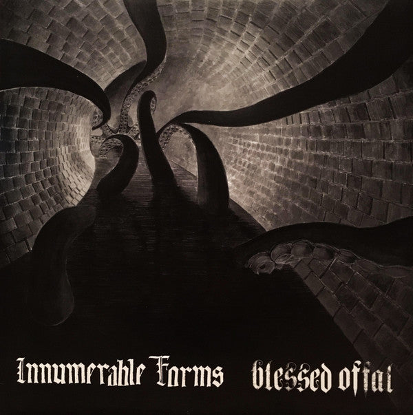 Innumerable Forms / Blessed Offal : Innumerable Forms / Blessed Offal (LP)